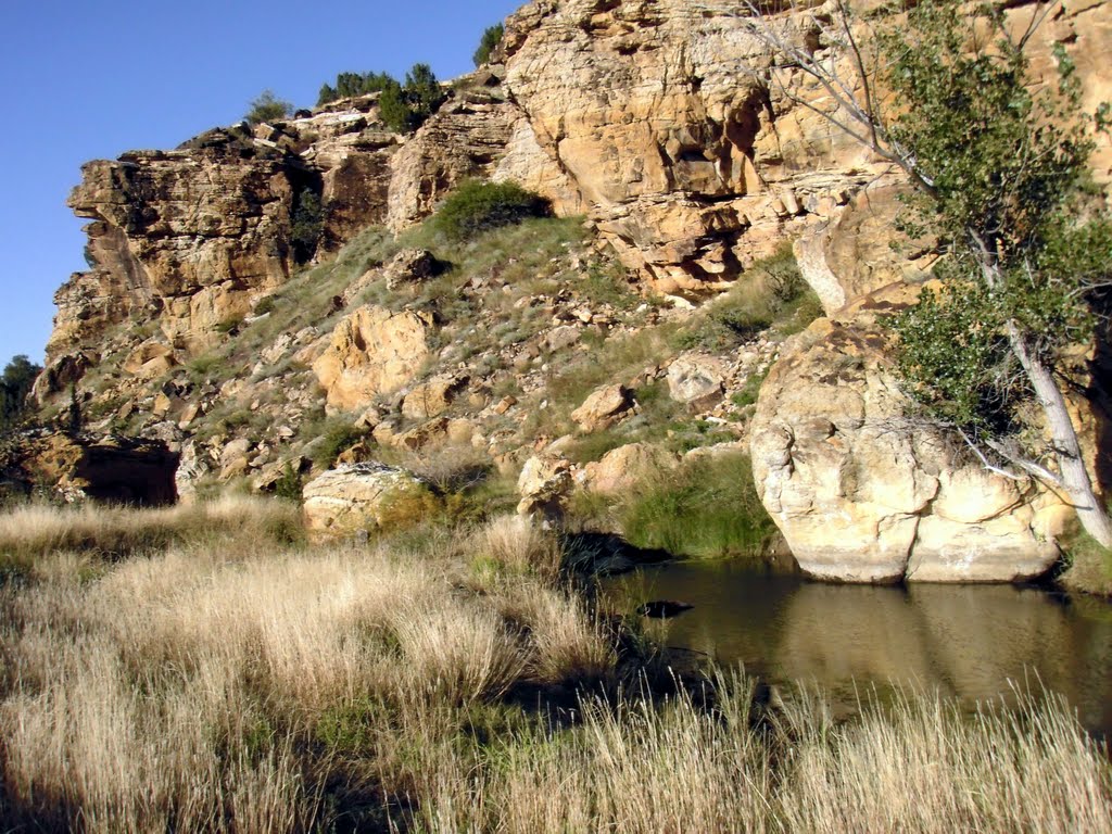Vogel-Canyon